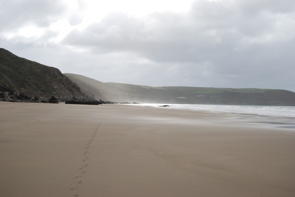 Whitsand Bay with miles of golden sand